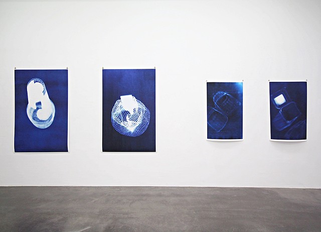 cyanotype photogram by Samantha Sethi at Krupic Kersting Gallery
