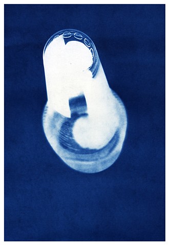 cyanotype photogram by Samantha Sethi