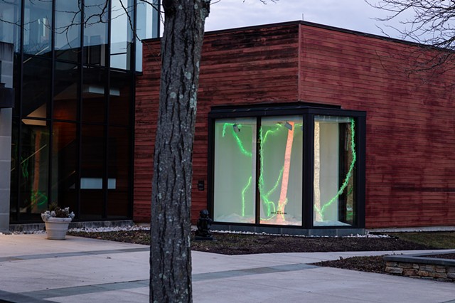 To See the Forest for the Trees (video documentation)