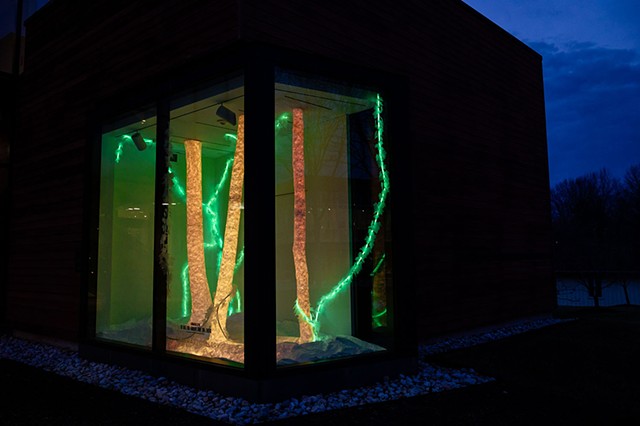 To See the Forest for the Trees