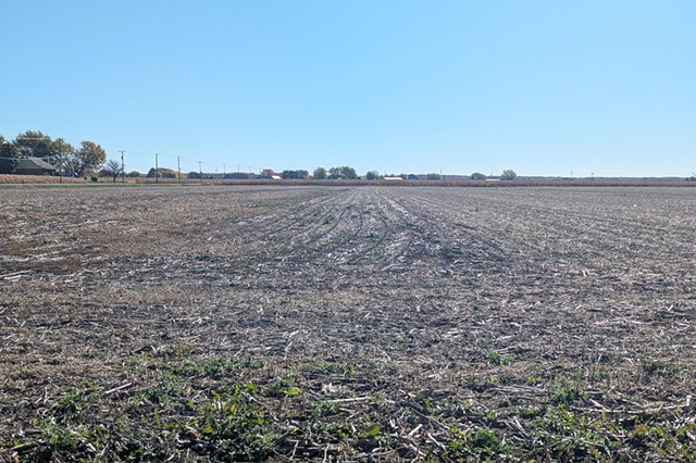 Du tiguidou en réserve! (finalistes)