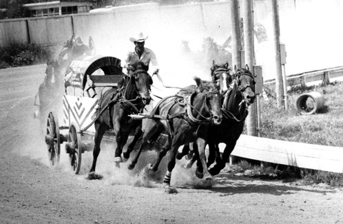 Quick on your feat! (finalistes)