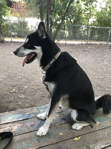 Le trait d'union fait la force! (finalistes)