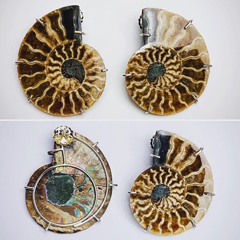 Earrings: Ammonite & Sterling Silver