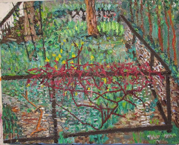 Grape Vine, Spring
