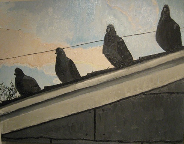 Four Static Pigeons