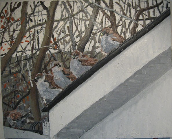 Five Sparrows