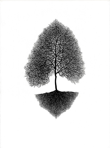 Drasil