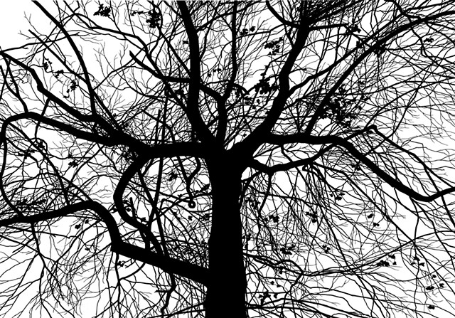 Dead Winter Days