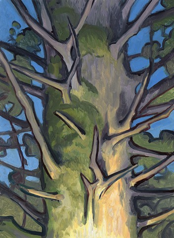 Sitka Study