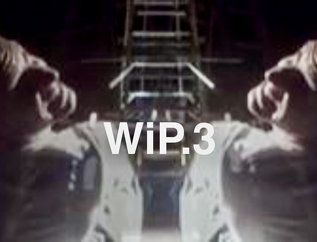 WiP.3