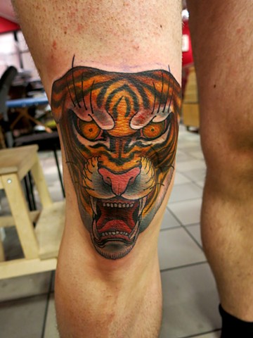 tiger- kneecap