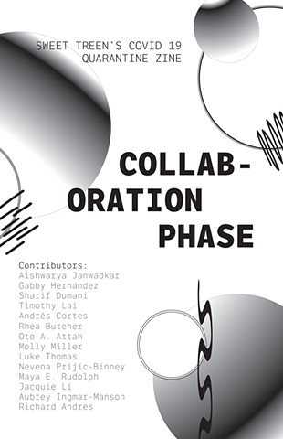 Phase 3 - Collaboration