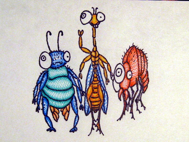Three Bugs