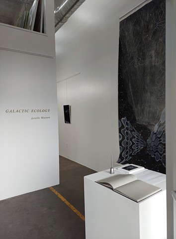 "Galactic Ecology" Solo Exhibition-Monterroso Gallery