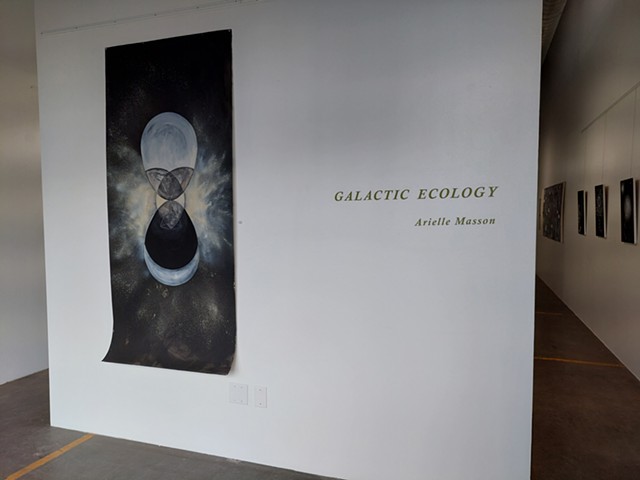 "Galactic Ecology"
Solo Exhibition
Monterroso Gallery
October 9 to November 13, 2021