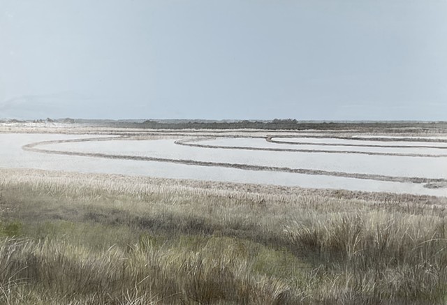 Black Fields: Furrows in the Rice Field