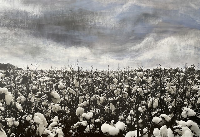 Black Fields: Roll of Thunder