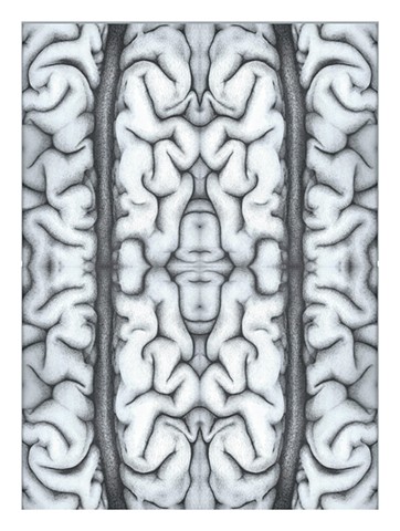 4 Brain