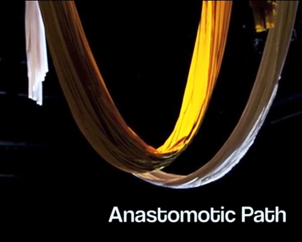 Anastomotic Path Performance Clip