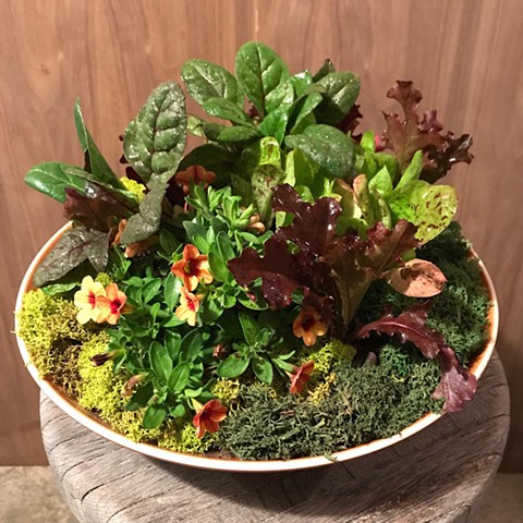 Heath Salad Bowl