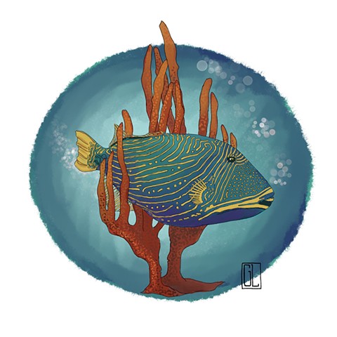 Parrotfish