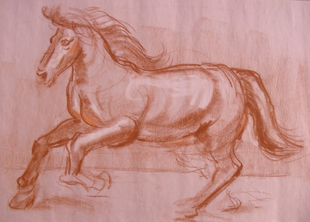 Horse Sketch 