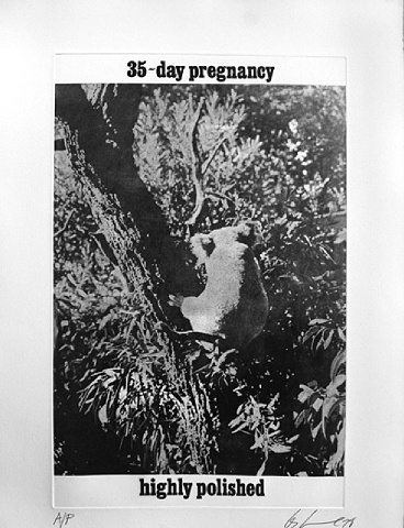 Les Levine

[35 day pregnancy]