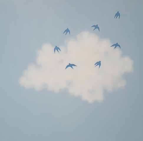 Seven Birds, One Cloud
