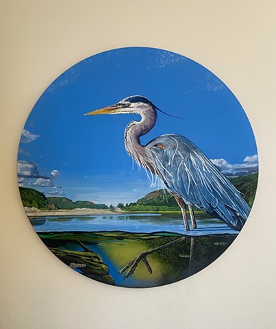 OISEAUX