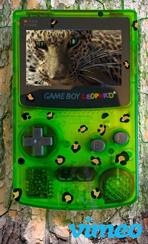 leopard*