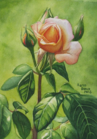 Rose Yellow & Buds-Framed