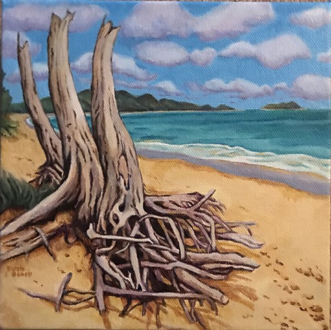 Oahu Beach with Old Tree Roots - Acrylic
