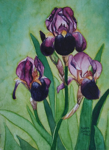Irises Light and Dark Purple3-Framed