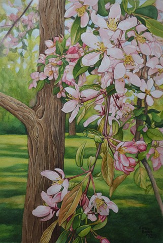 Blossoms at Trexler Park