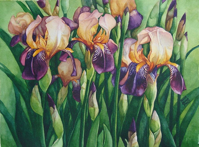 Irises-Triplets-Framed