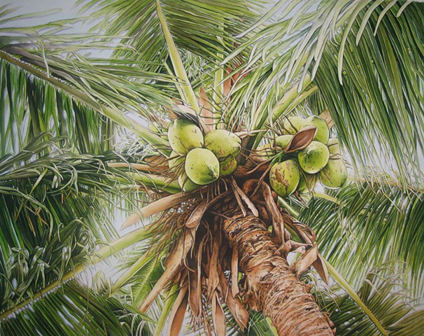 Oahu Palm-Framed