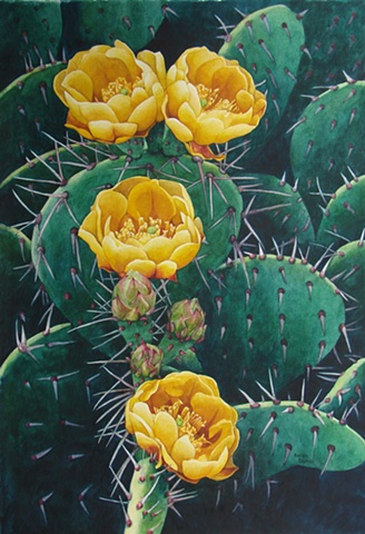 Cactus Canyon-Framed