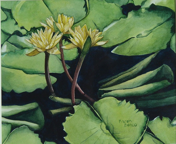 Waterlilies Yellow-Framed