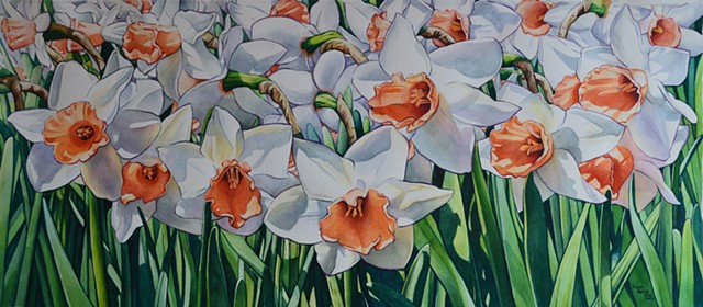 Daffodils-Framed