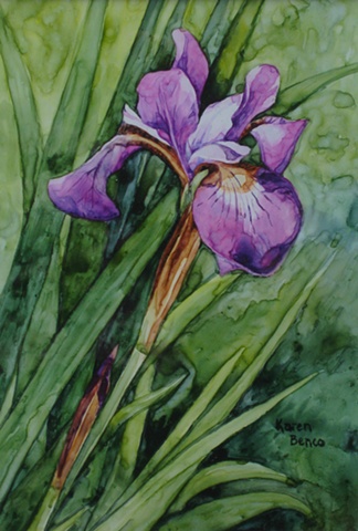 Iris Light Purple-Framed
