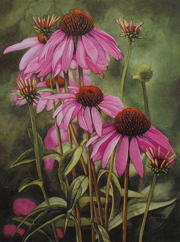 Coneflowers-Print Only