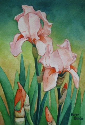 Peach Irises-Framed
