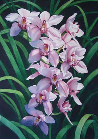 Orchids Pink 22X28-Framed