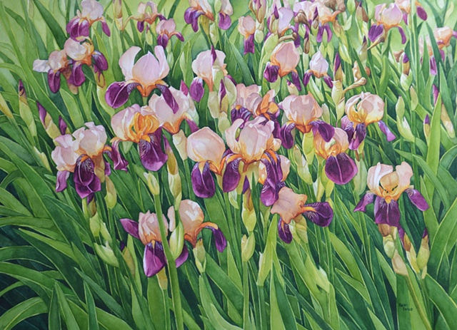Irises-Peach Purple-Framed