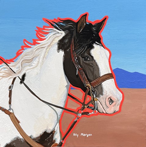 Paint Horse in Desert Study