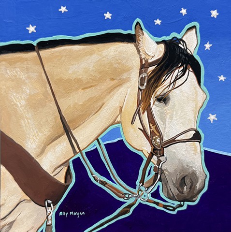 Buckskin and Stars Study