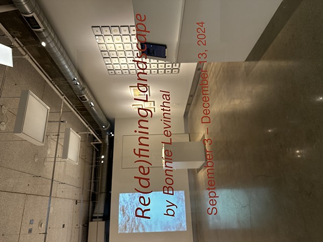 Re(de)fining Landscape