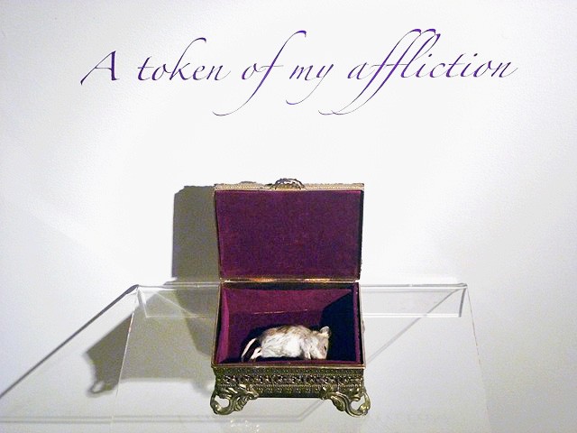 A TOKEN OF MY OTHER AFFLICTION