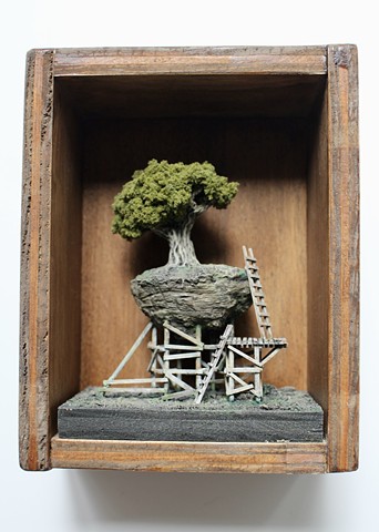 "Modern Ecology"